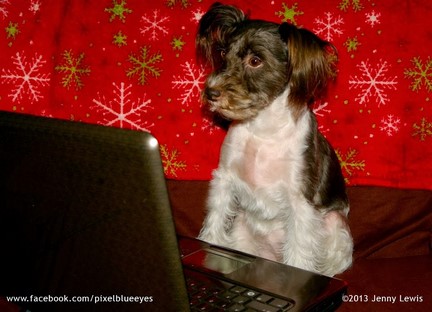 Image of Pixel Blue Eyes sitting at her laptop blogging