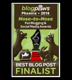 "Best Written Pet Blog Post" 2016 Finalist in the BlogPaws Nose to Nose Awards